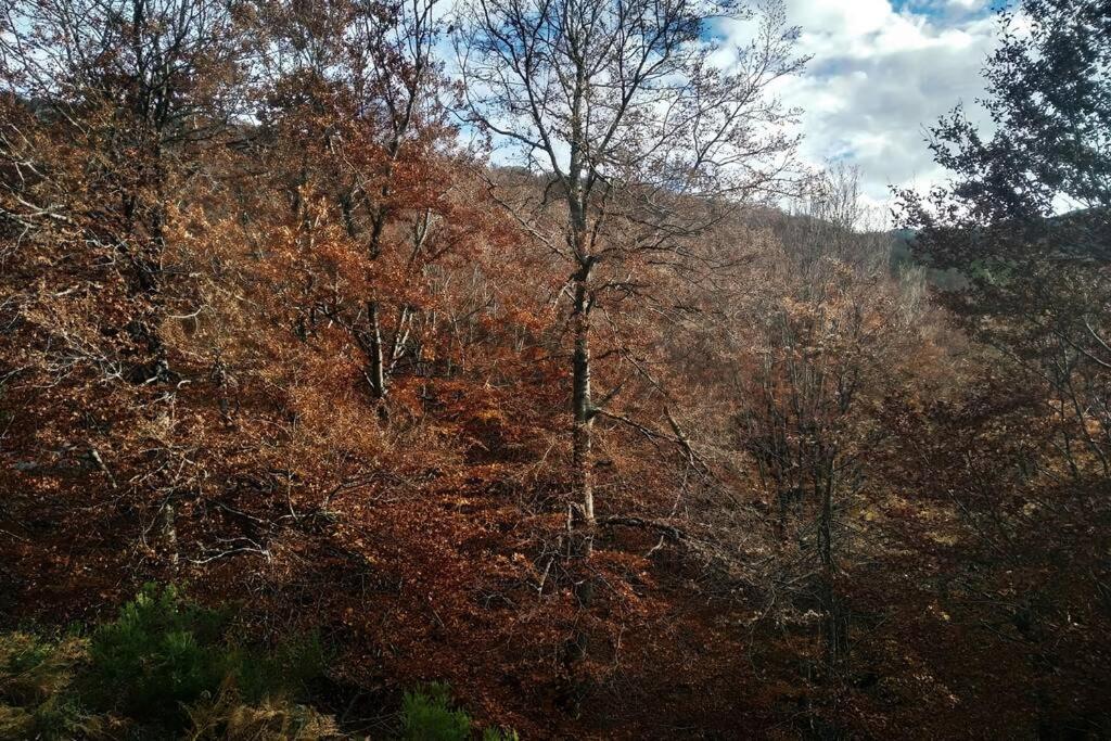 El Ultimo Rincon, Duplex Con Piscina Climatizada Διαμέρισμα La Pinilla  Εξωτερικό φωτογραφία
